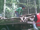 Holzaktion